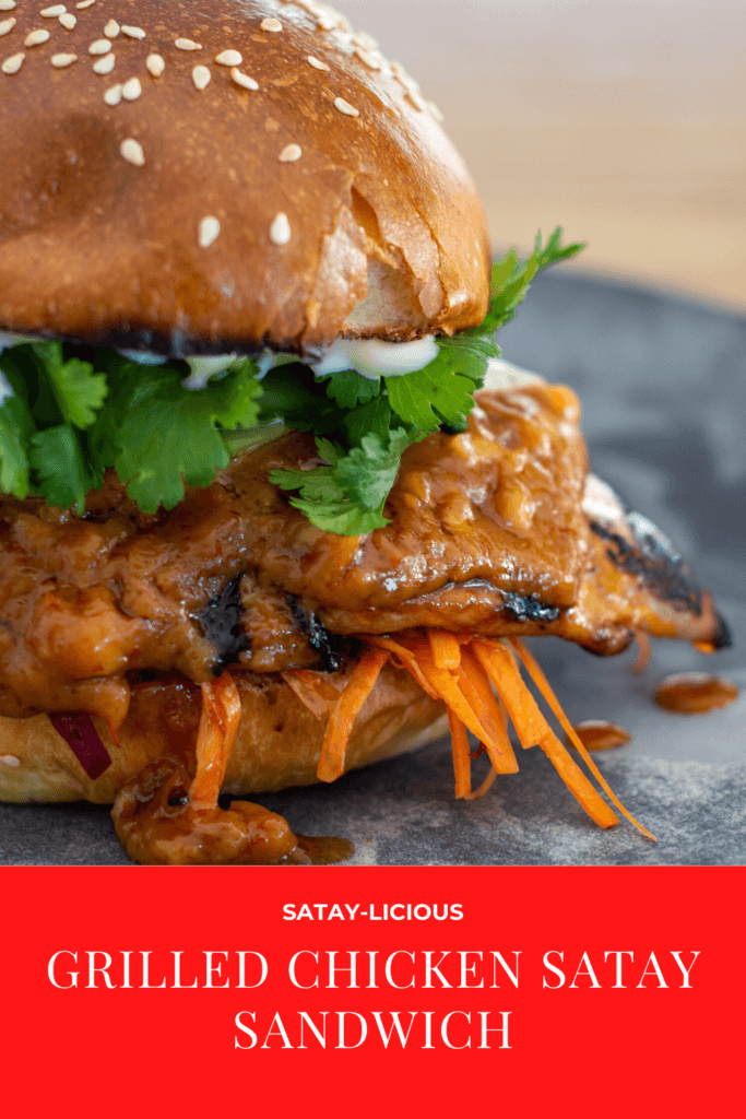Close up of grilled chicken satay sandwich