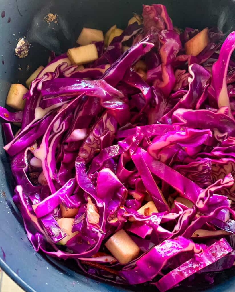 red cabbage ingredients in pot