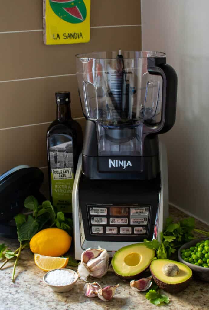 ninja blender, vegetables & herbs on kitchen counter