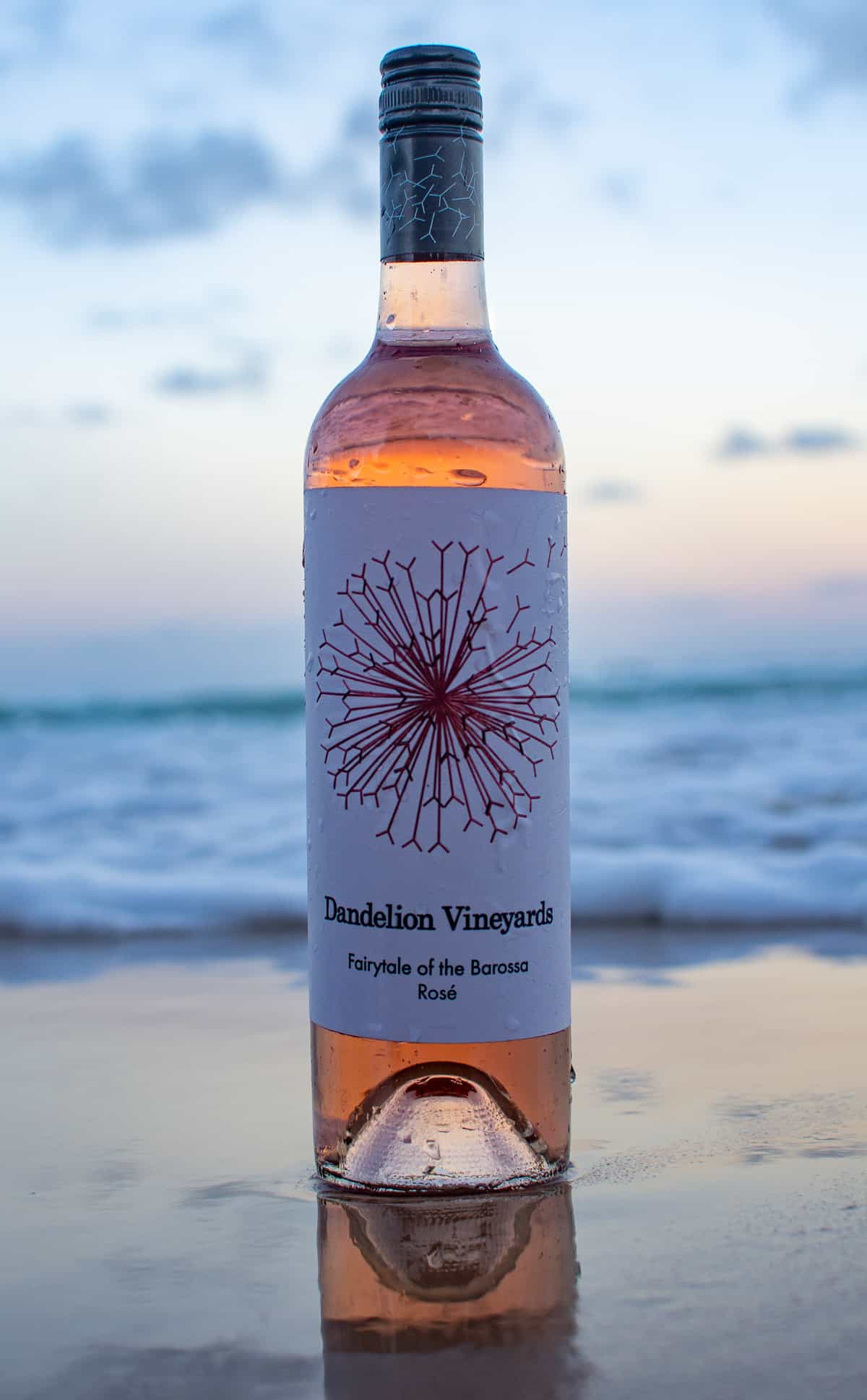 dandelion rose on the beach wuth sun setting